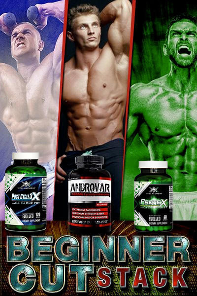 Beginners – Cutting + Bulking